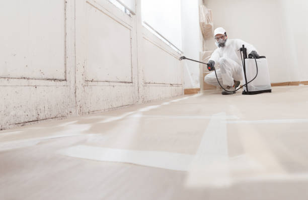 24/7 Emergency Mold Remediation experts in Mount Vernon, VA