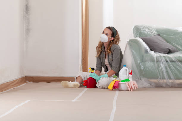 Reliable Mold Remediation contractor in Mount Vernon, VA by 24 Hour Mold Removal